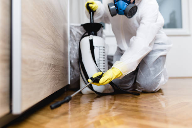 Professional Pest Control in Florence, MT