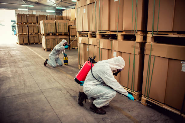  Florence, MT Pest Control Pros