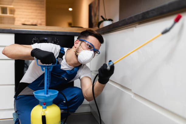 Trusted Florence, MT Pest Control Experts