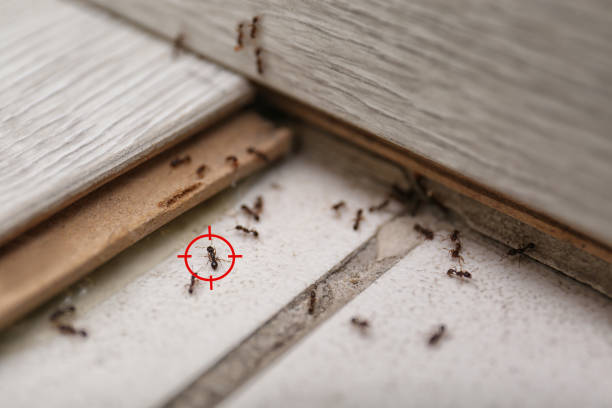 Pest Control Cost in Florence, MT