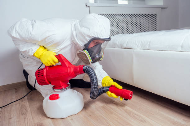 Best Local Pest Control Services  in Florence, MT