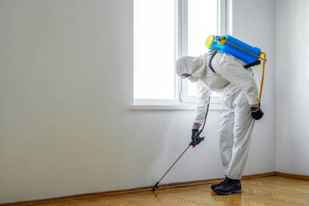 Best Local Pest Control Services  in Florence, MT