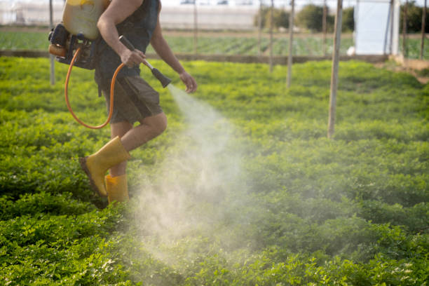 Best Termite Control Services  in Florence, MT