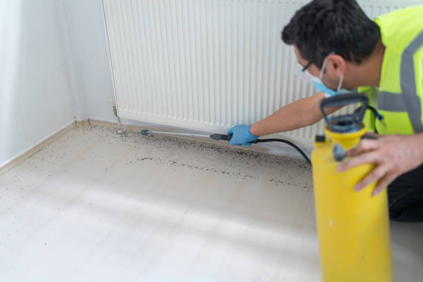 Best Best Pest Control Companies  in Florence, MT